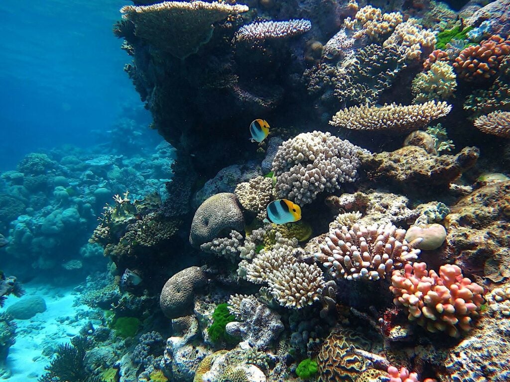 Great Barrier Reef.