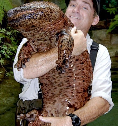 a man holding a giant salamander