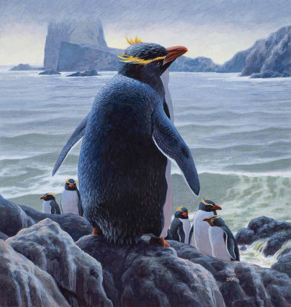 An artist's impression of two now-extinct penguin species.