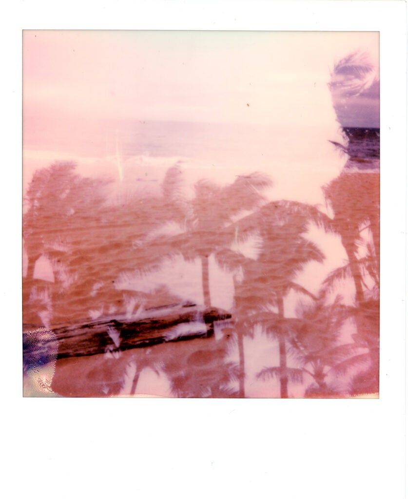 Polaroid Onestep+ sample palm trees