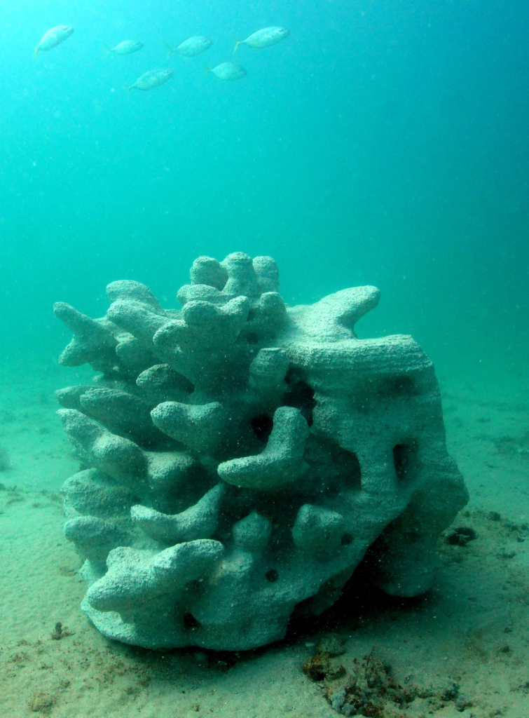 A 3D-printed reef