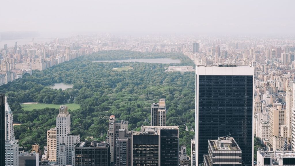 Central Park, New York City, on an especially polluted day.