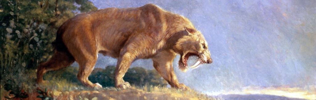 A sabre-toothed cat