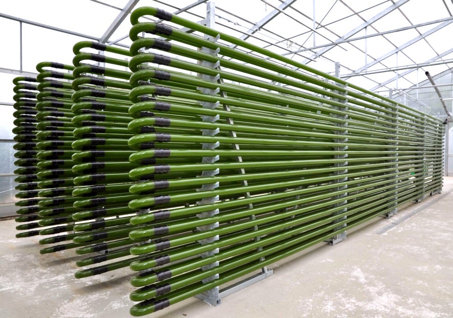 algae bioreactors