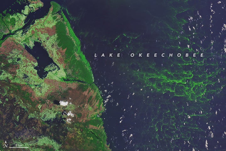 satellite image of southwestern Lake Okeechobee