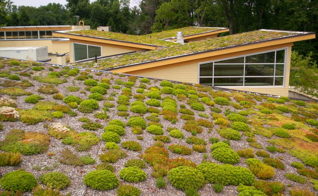Green roof at the Walter Reed Community Center in Arlington, Virginia.