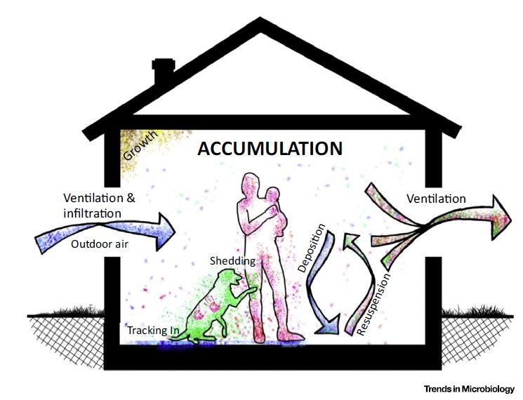 the sources and physical processes that govern assembly of indoor microbial communities.
