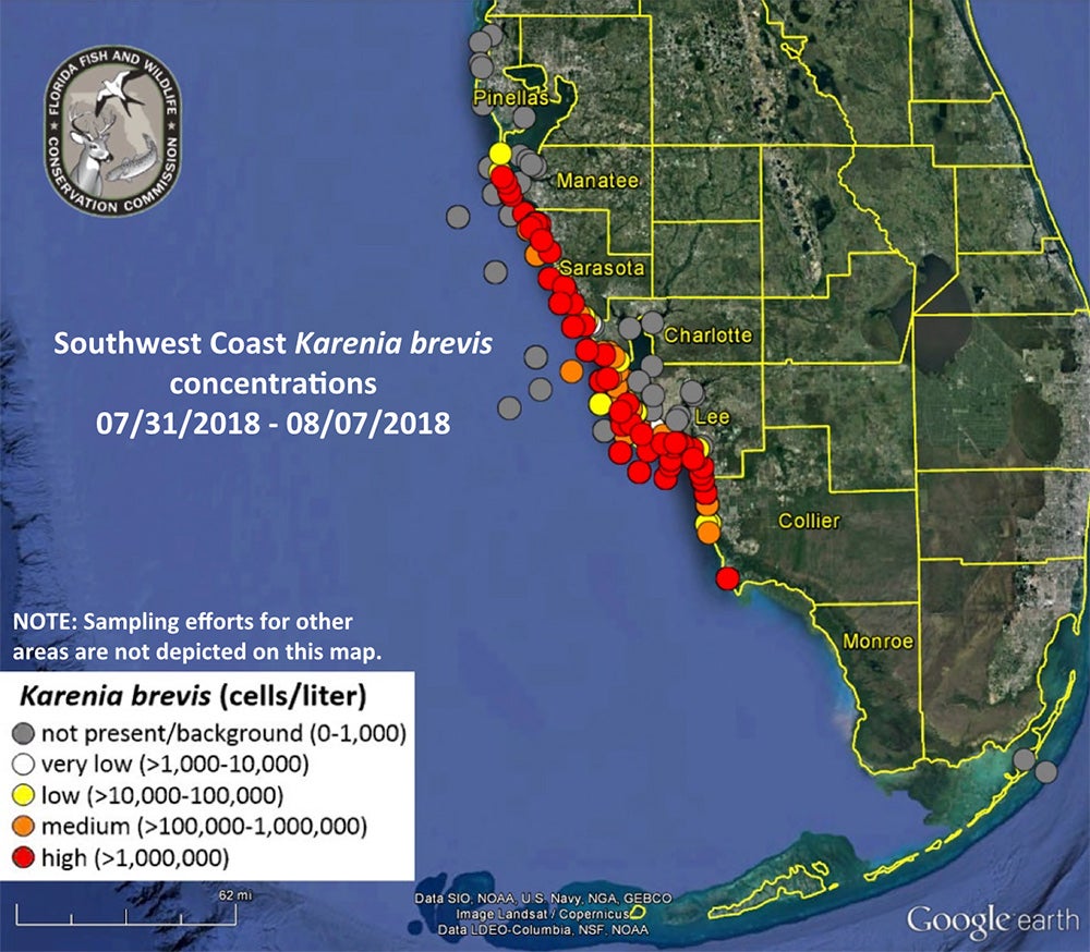 Florida red tide outbreak