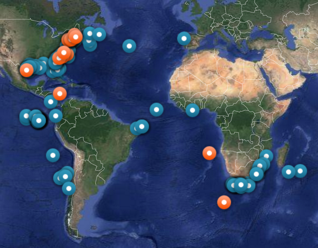 The recent whereabouts of sharks tagged by OCEARCH.