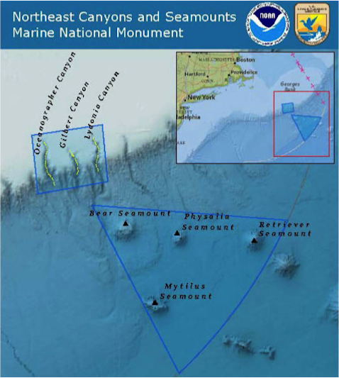 The new Northeast Canyons and Seamounts Marine National Monument.