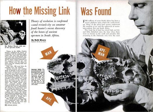 The Missing Link: February 1954
