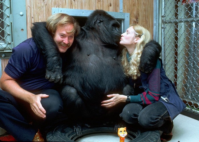 Koko hugging her caretakers
