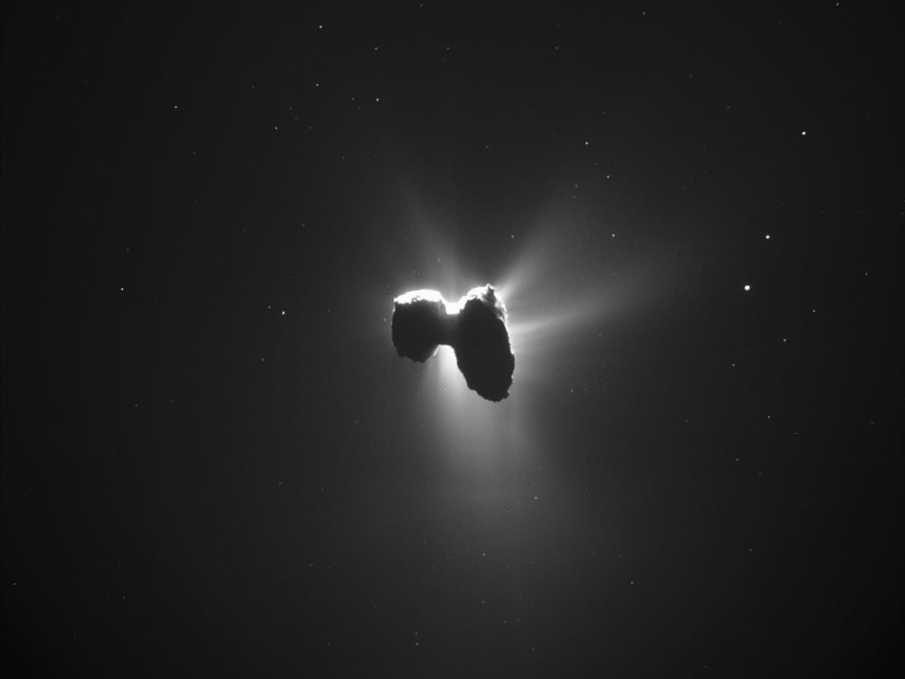 comet from rosetta image gallery