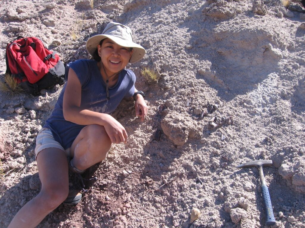 Akiko Shinya is the Field Museum’s chief fossil preparator, and was the first to spot the fossil. Part of the new dinosaur's name is Shinyae, to honor Shinya's contributions.