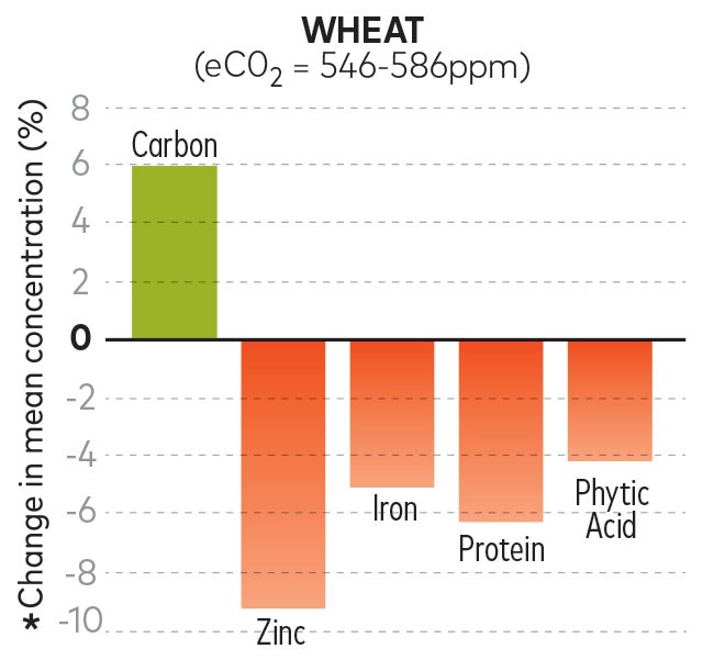 future wheat nutrition chart