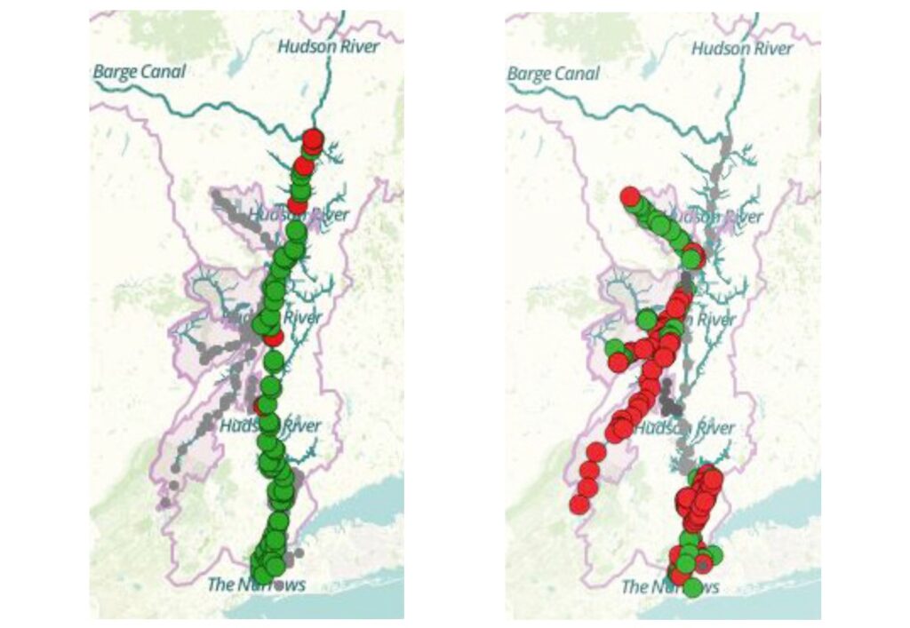 Most of the main stem of the Hudson River tested within limits for safety in August 2016 (left). Hudson River tributaries tend to have more fecal contamination. Red dots show areas in tributaries wher