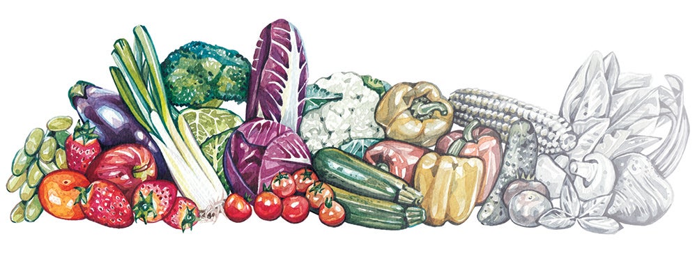 produce nutrition illustration