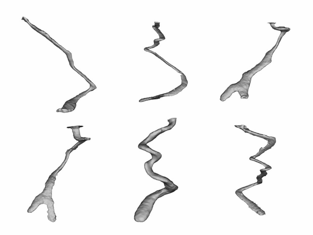 Three-dimensional scans of aluminum casts of burrows of three species of scorpion