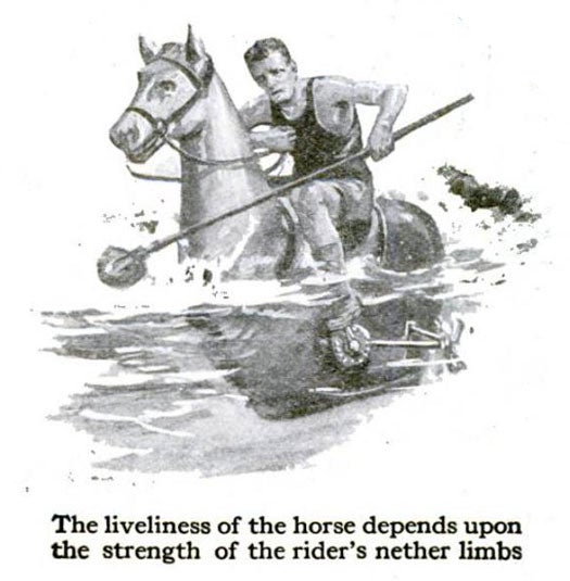 Aquatic Polo Ponies: July 1918