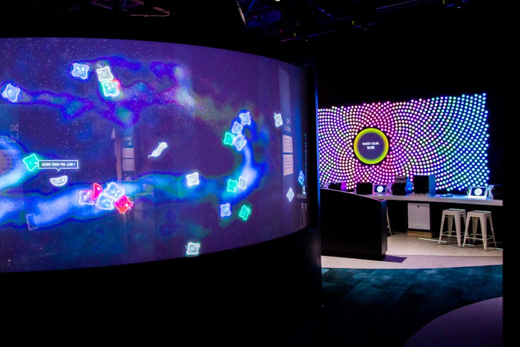 Vivid displays allow visitors to explore the fundamentals of biological systems.