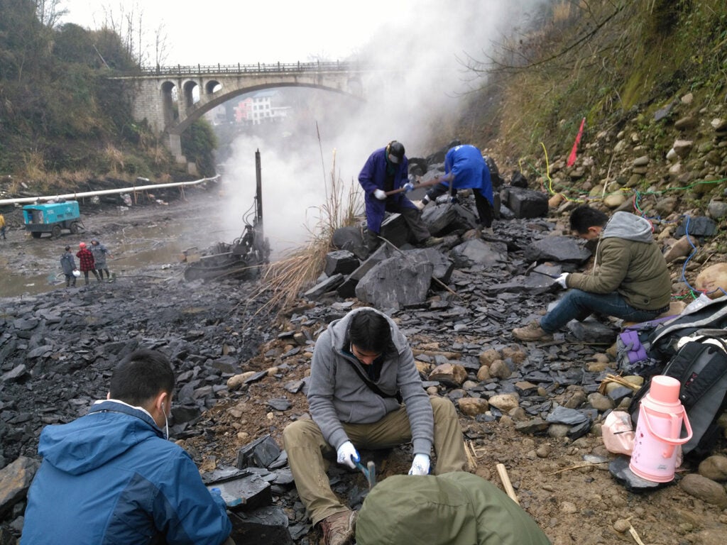 Chinese scientists digging up fossils at the Qingjiang site