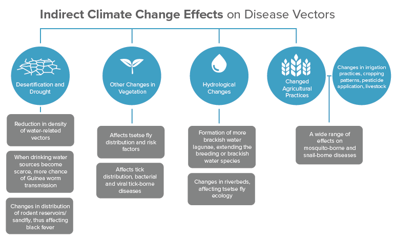 Climate disease vectors