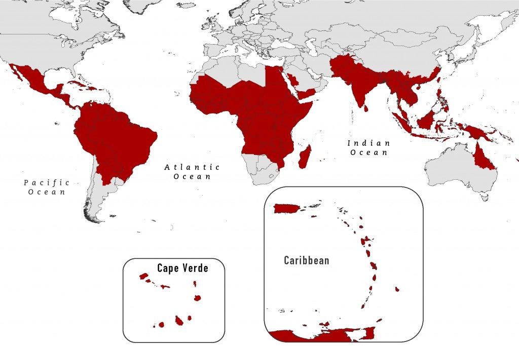 Mosquito dengue map infection