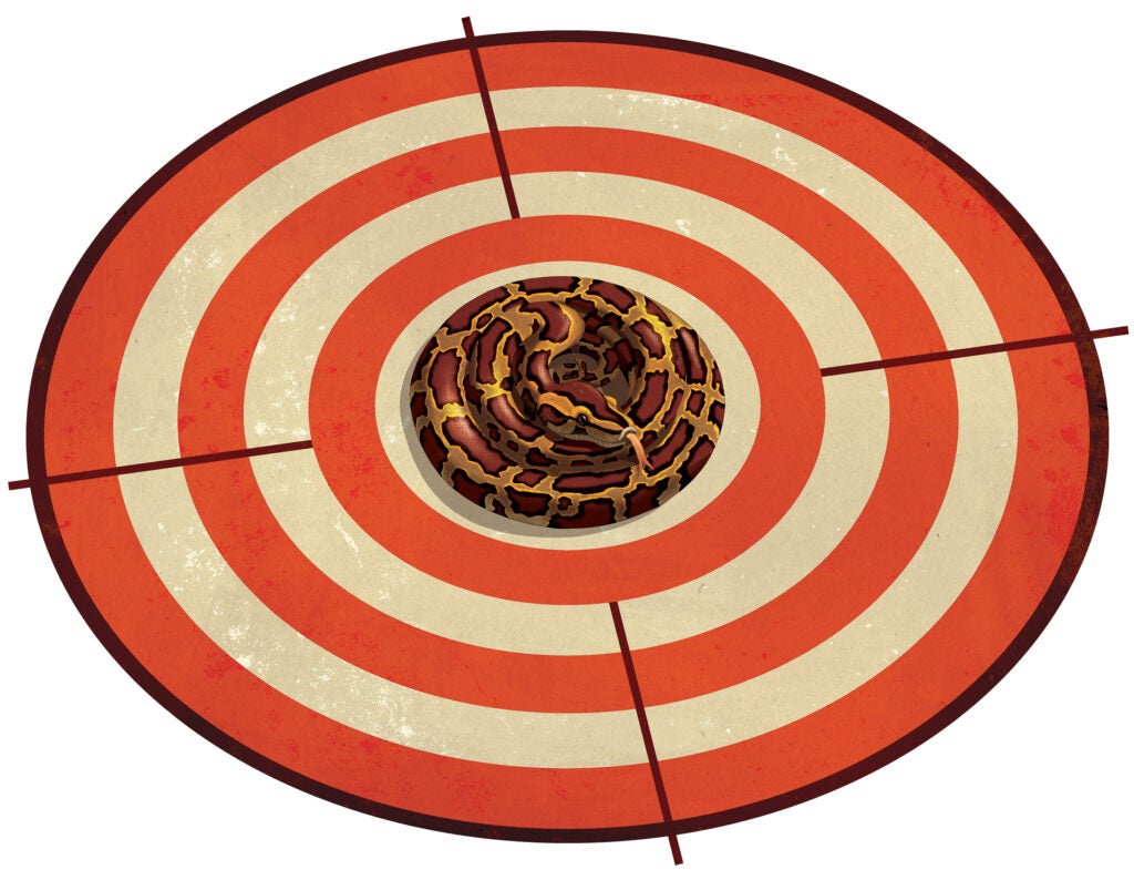 python on bullseye