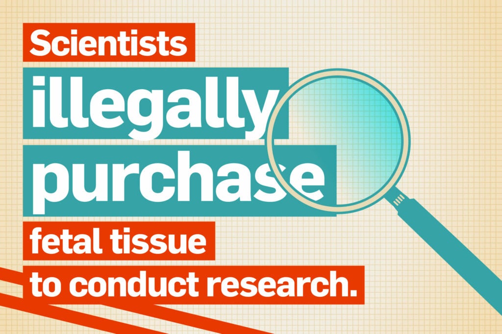 Scientists illegally purchase fetal tissue to conduct research.