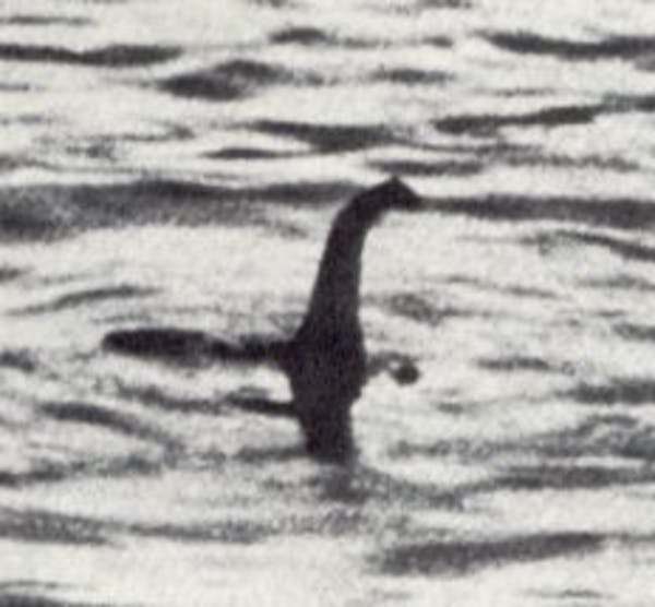 A grainy photo of the supposed Loch Ness Monster swimming