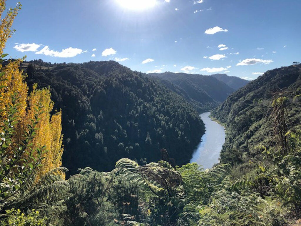 Whanganui river in New Zealand