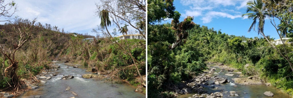 Photos of the Espiritu Santo River in Puerto Rico 18 months apart