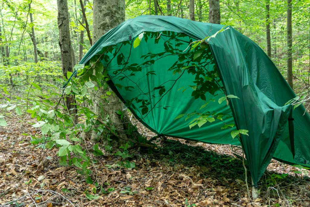 a tarp bent over a sapling