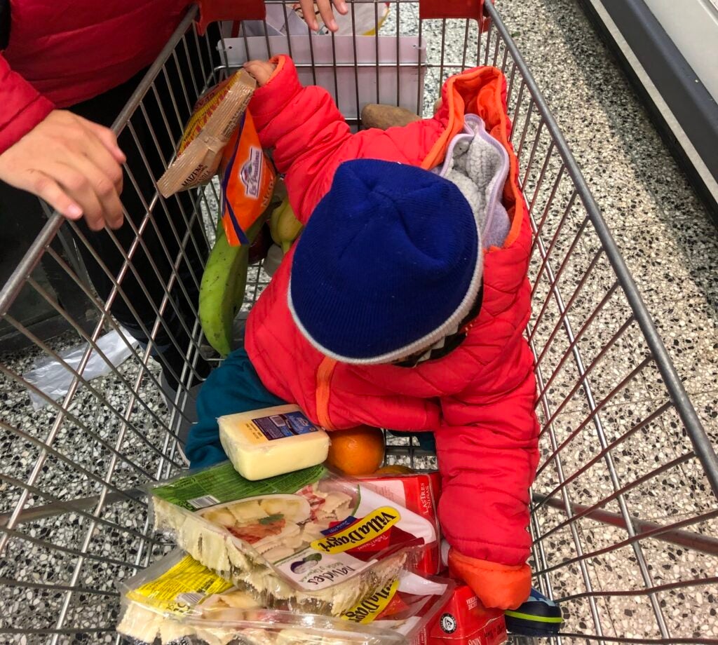 child in a shopping cart among groceries