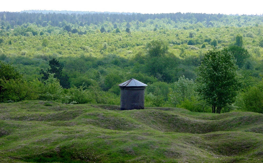 Verdun Forest