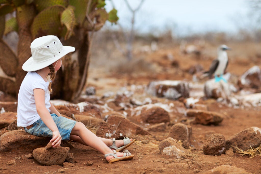 A little girl looks at a blue-footed booby in the Galápagos.