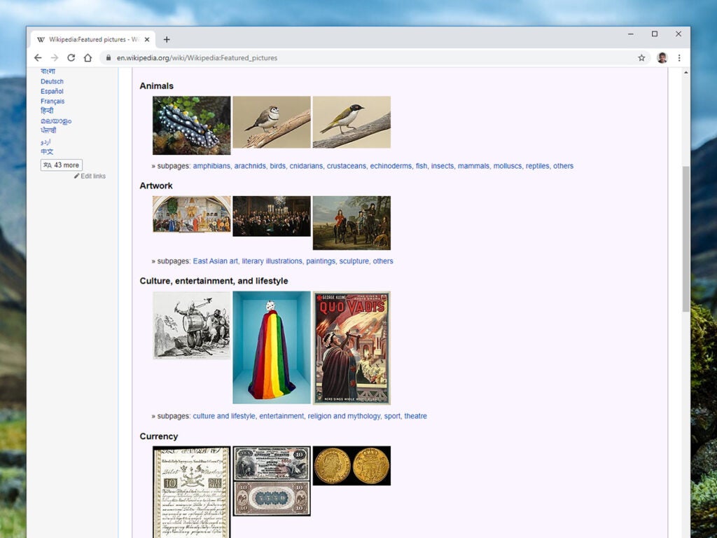 a screenshot of a bunch of images on Wikipedia.