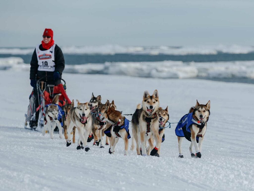 Dog sled team mushers in Alaska