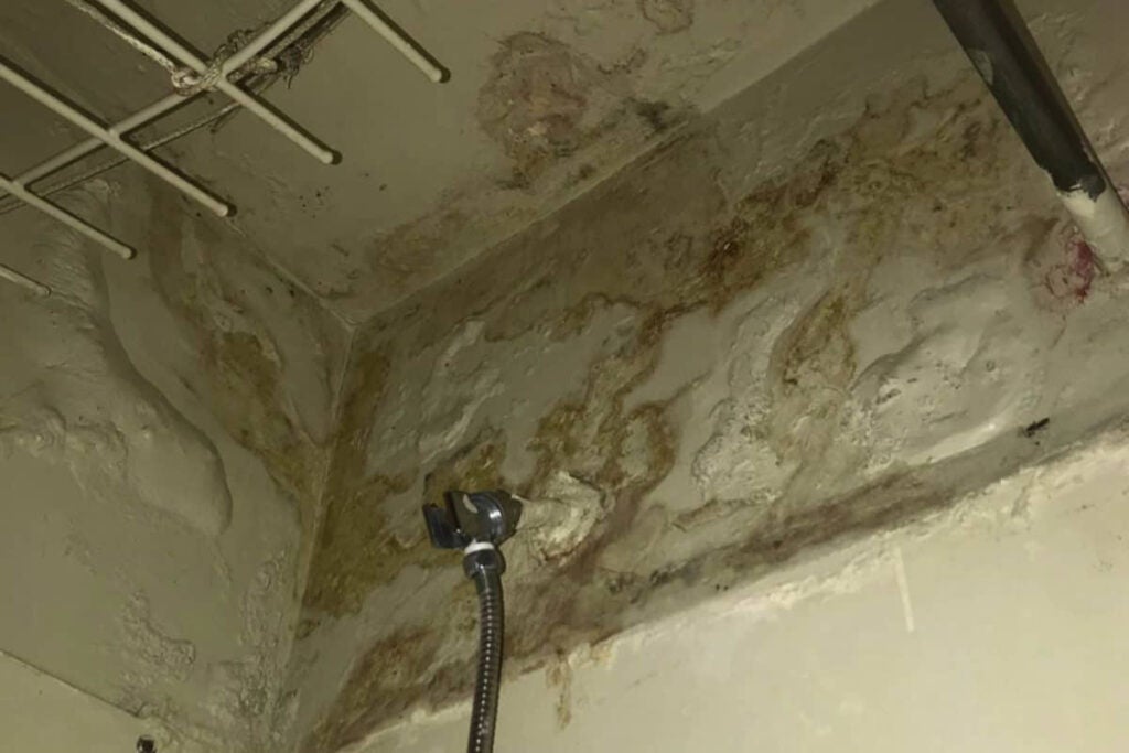 Mold grows on the walls of a bathroom