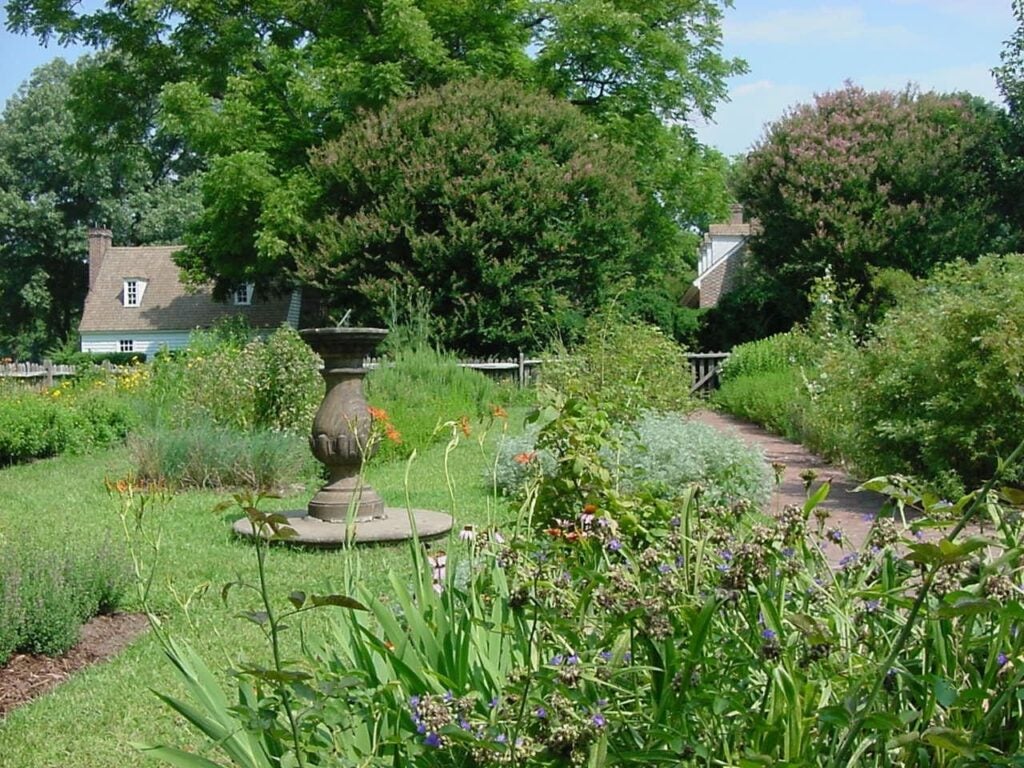An outdoor garden.