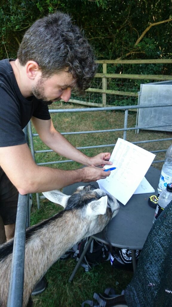 man showing a goat something on a piece of paper