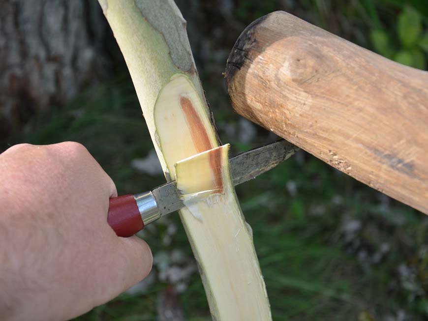 A sharp knife carving into a stripped tree branch.
