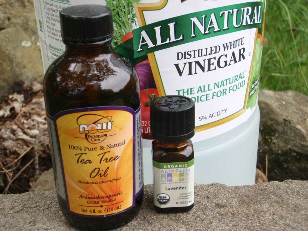 Bottles of vinegar and insect repellent ingredients.