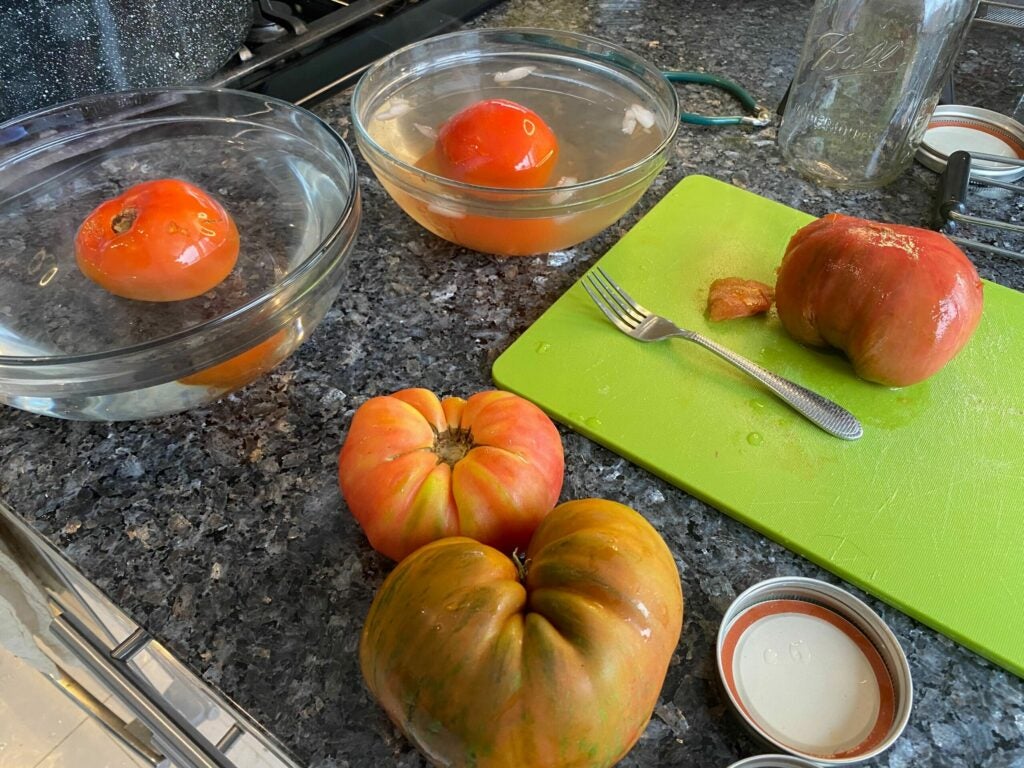 fresh tomatoes, a tomato in a bowl of hot water, a tomato in a bowl of cold water, and a tomato on a cutting board, in the canning process