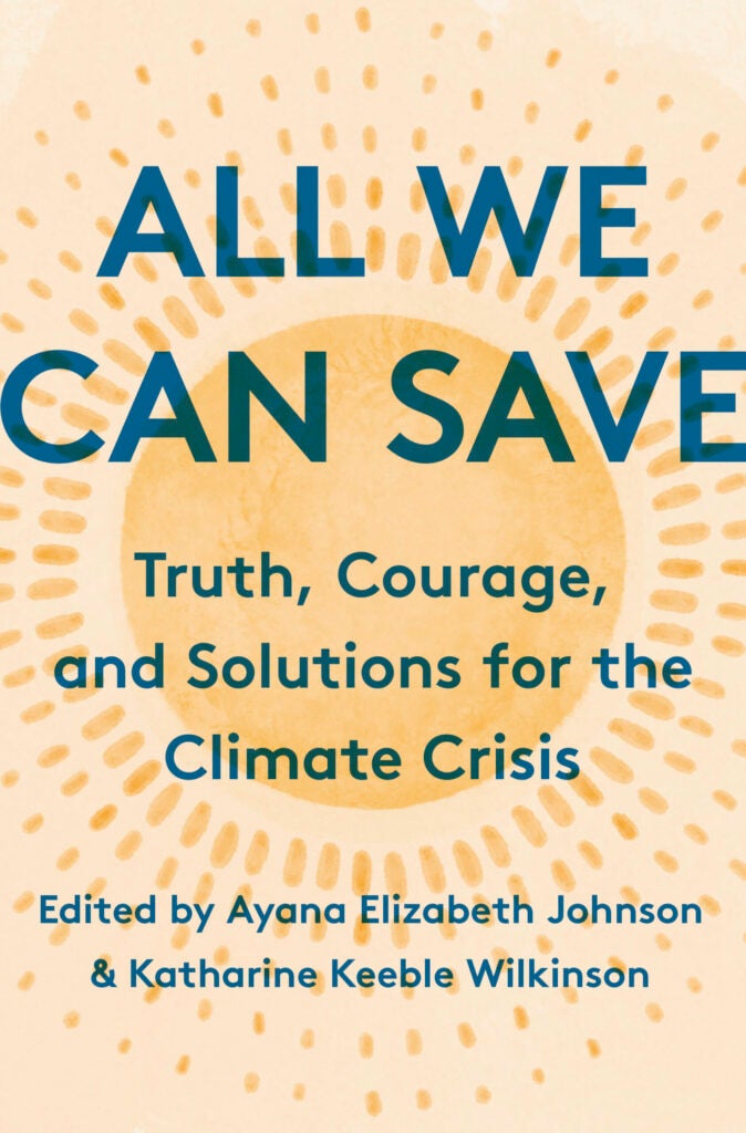All We Can Save book cover.