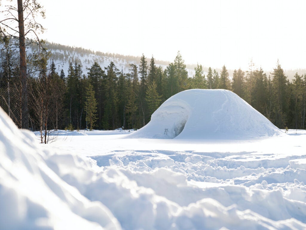 an igloo or a snow cave in a winter forest