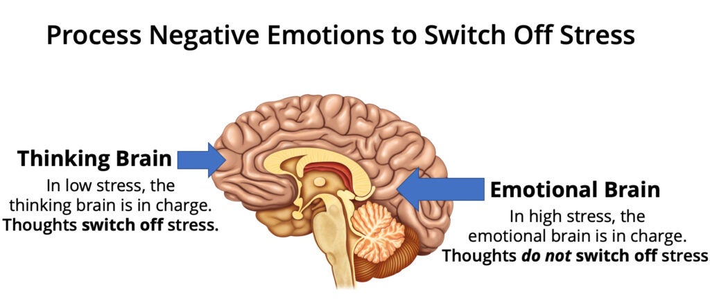 Thought vs. emotion in the brain