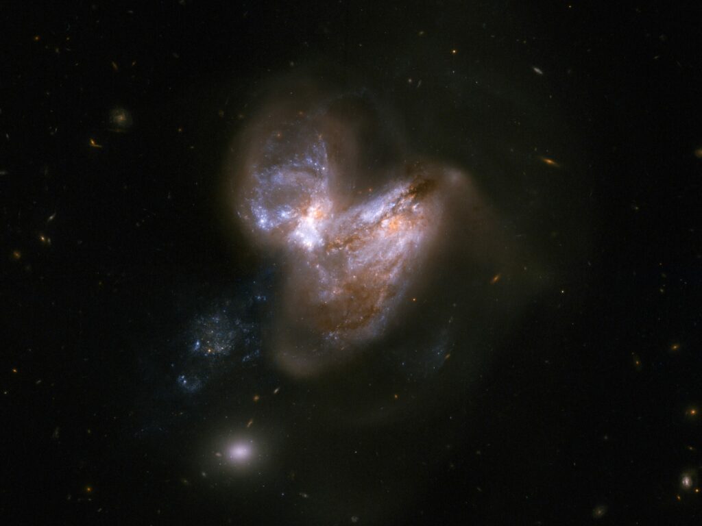 This system consists of a pair of galaxies, dubbed IC 694 and NGC 3690, which made a close pass some 700 million years ago. As a result of this interaction, the system underwent a fierce burst of star formation. In the last fifteen years or so six supernovae have popped off in the outer reaches of the galaxy, making this system a distinguished supernova factory.