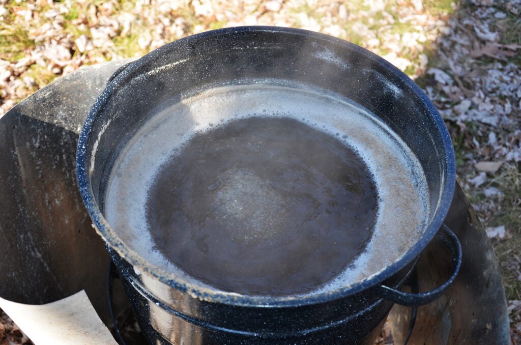 boil tree syrup
