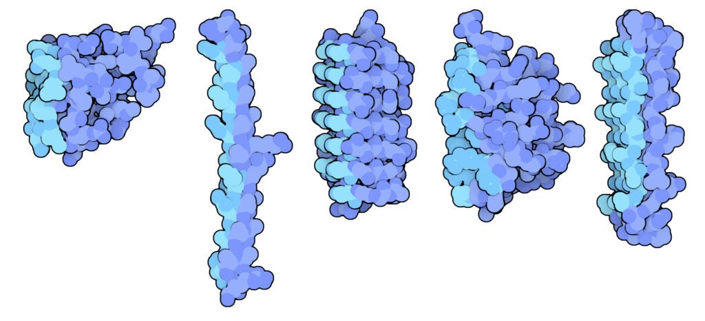 Antifreeze protein illustration